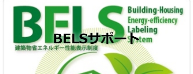 BELSサポート